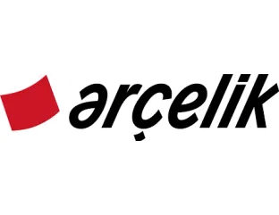 Past Client Logo