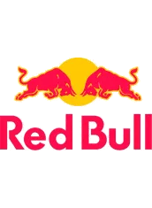 Past Client Logo