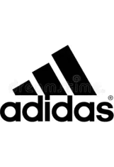 Past Client Logo